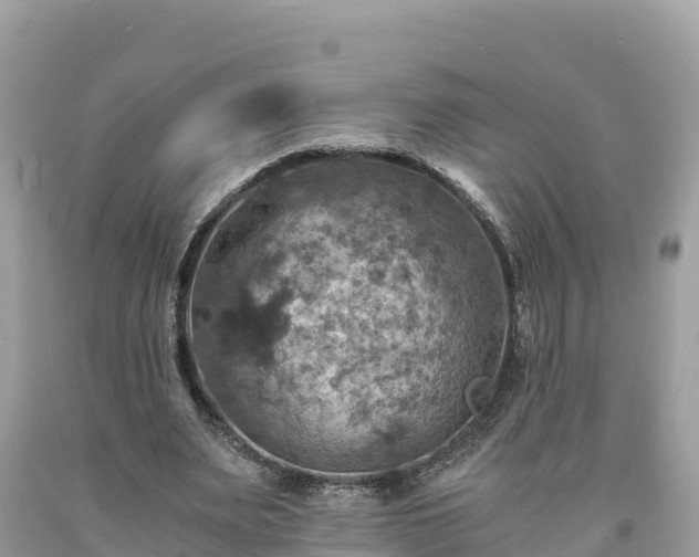 X0000093730487200710231154