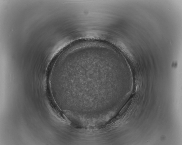 X0000093730488200710231154