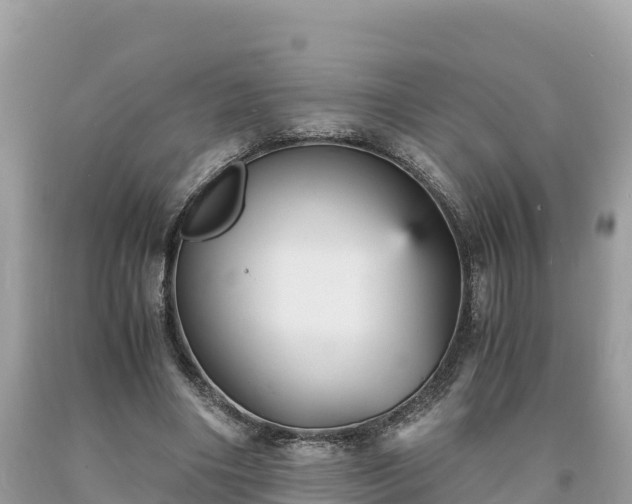 X0000093730490200710231154