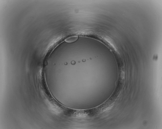 X0000093730491200710231154