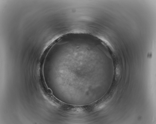 X0000093730492200710231154