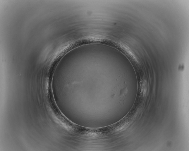X0000093730494200710231154