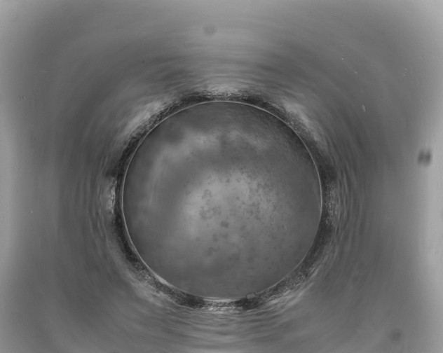 X0000093730495200710231154