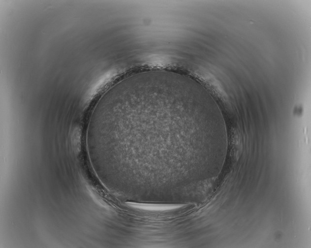 X0000093730496200710231154