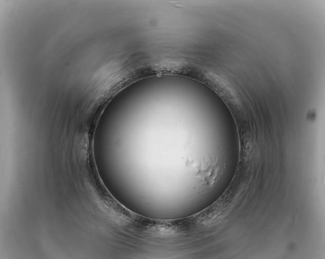 X0000093730498200710231154