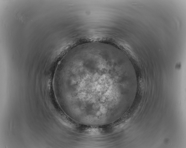 X0000093730499200710231154