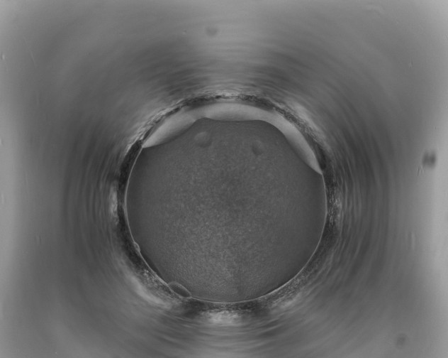 X0000093730500200710231154