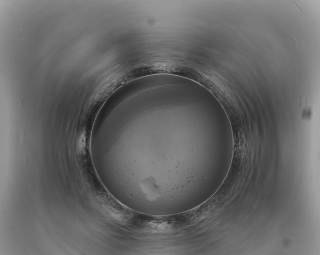 X0000093730502200710231154