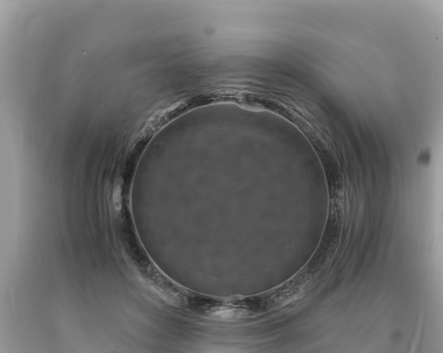 X0000093730504200710231154