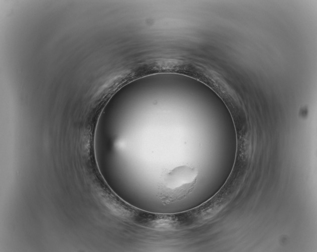 X0000093730505200710231154