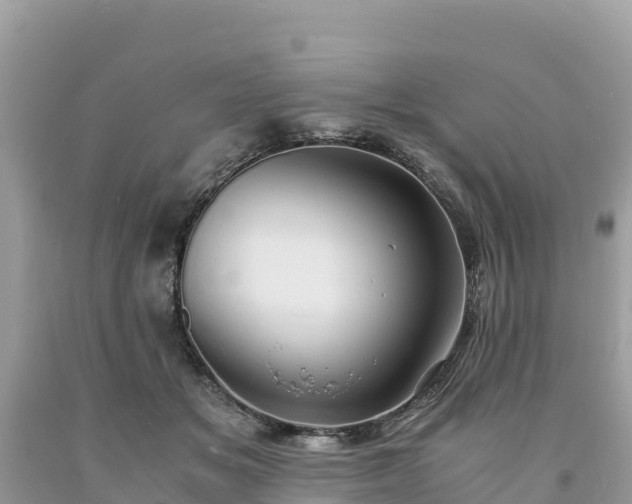 X0000093730509200710231154