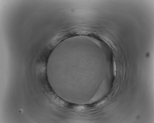 X0000093730513200710231154