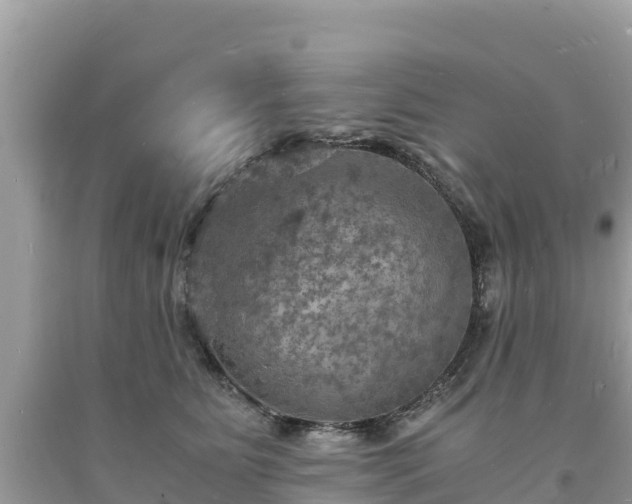 X0000093730515200710231154