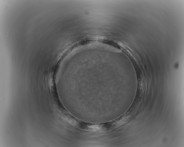 X0000093730516200710231154