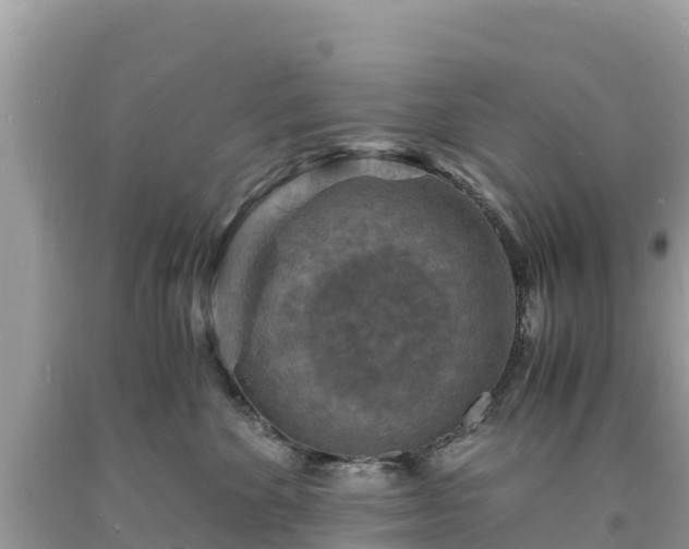 X0000093730524200710231154