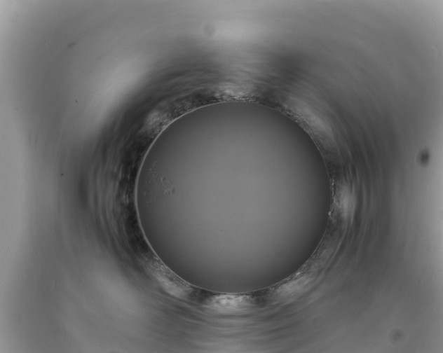 X0000093730526200710231154