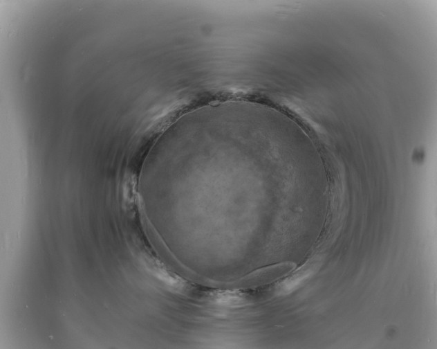 X0000093730528200710231154