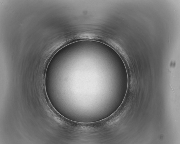 X0000093730529200710231153