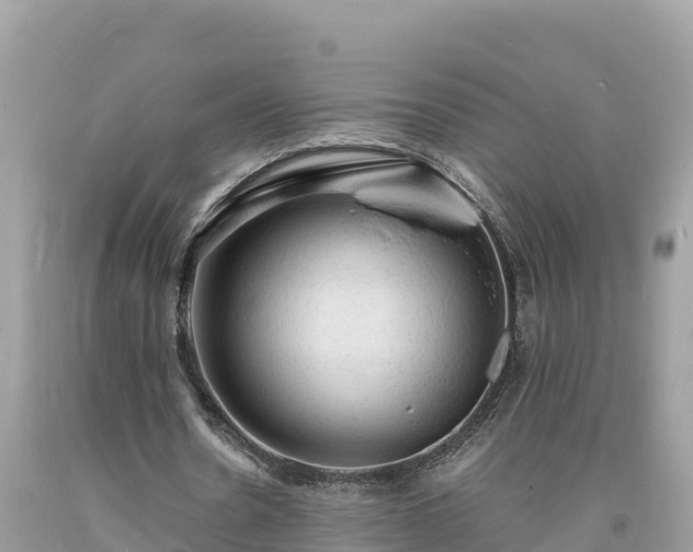 X0000093730530200710231153