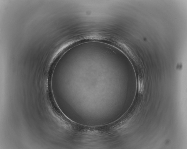X0000093730531200710231153