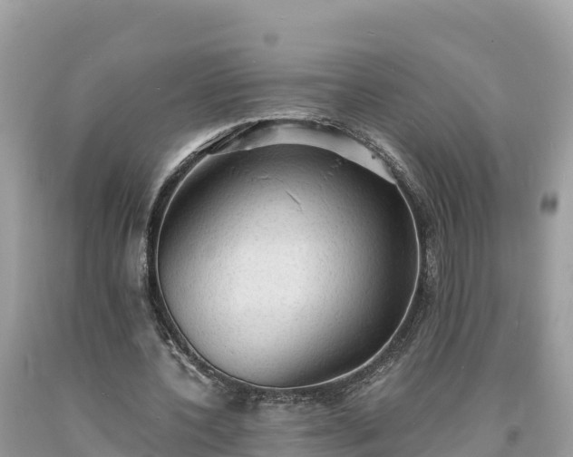 X0000093730532200710231153