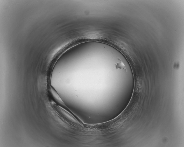 X0000093730535200710231153