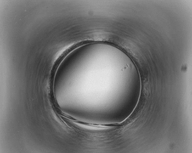 X0000093730536200710231153