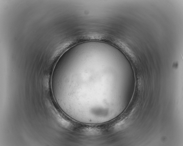 X0000093730537200710231153