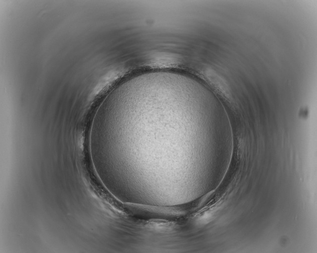 X0000093730539200710231153