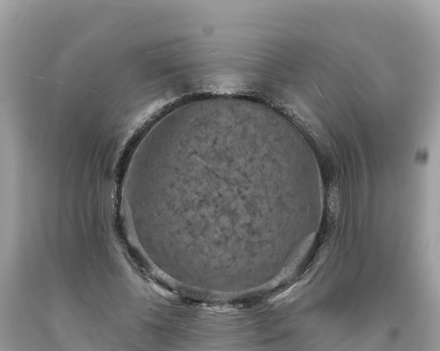 X0000093730540200710231153