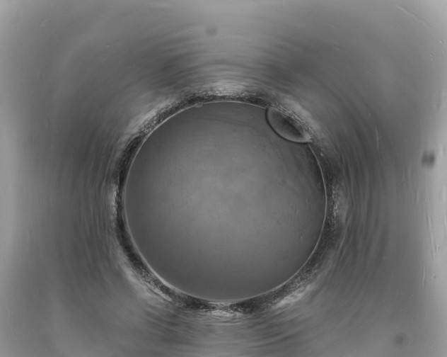 X0000093730542200710231153
