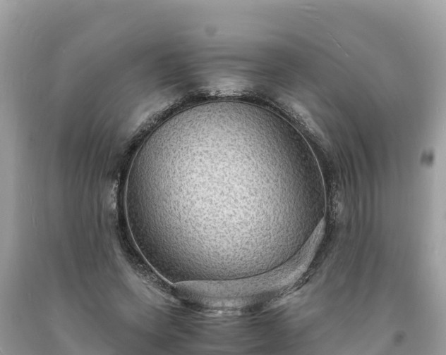 X0000093730543200710231153