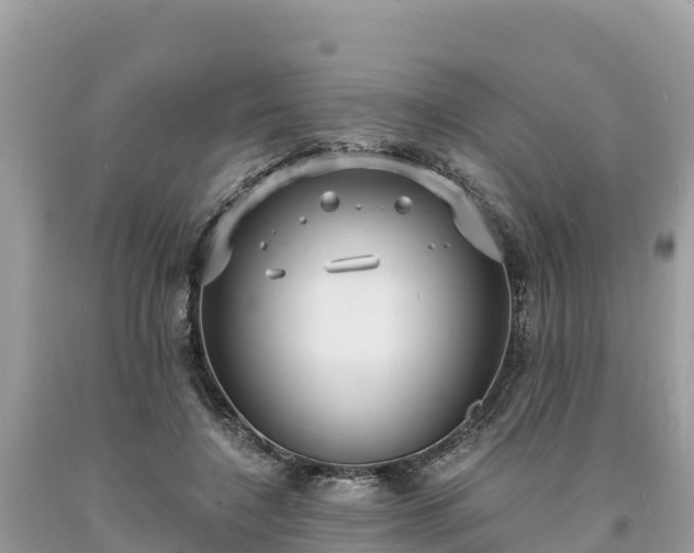 X0000093730548200710231153