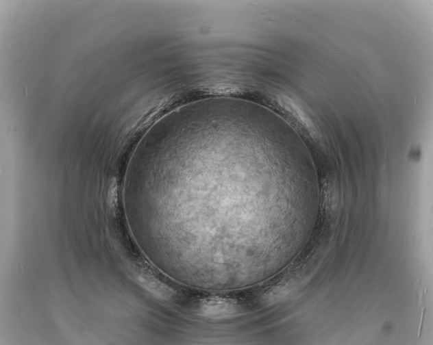 X0000093730549200710231154