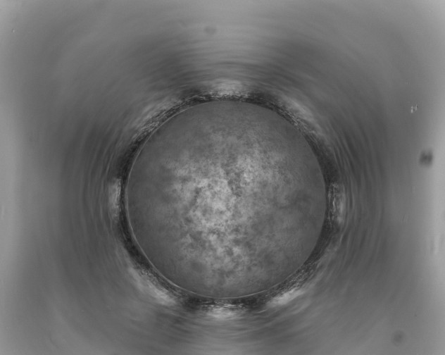 X0000093730550200710231154