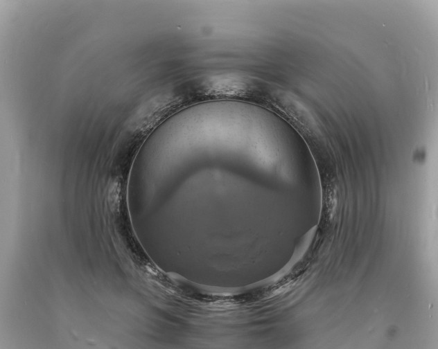 X0000093730551200710231154
