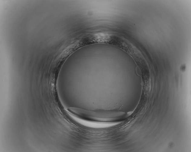 X0000093730553200710231154