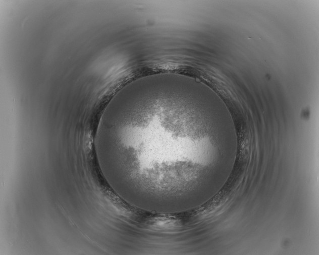 X0000093730555200710231154