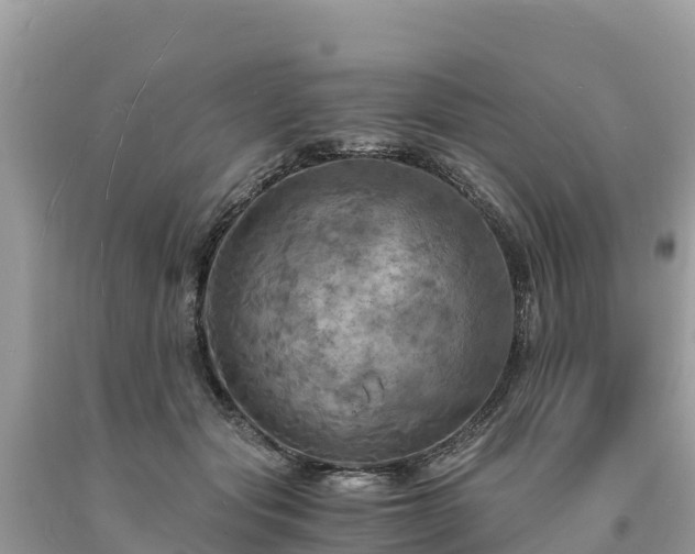 X0000093730557200710231154