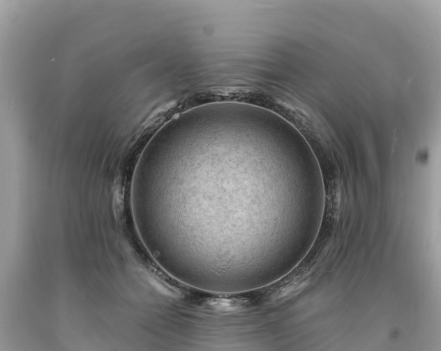 X0000093730558200710231154