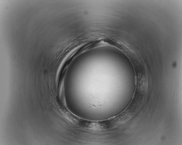 X0000093730562200710231154