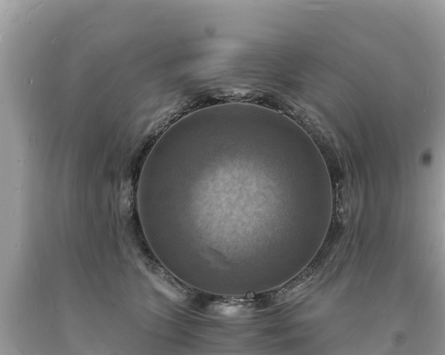 X0000093730563200710231154