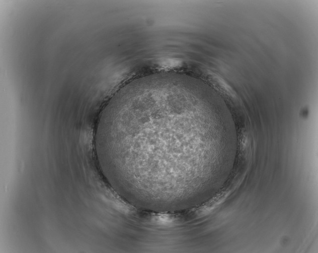 X0000093730565200710231154