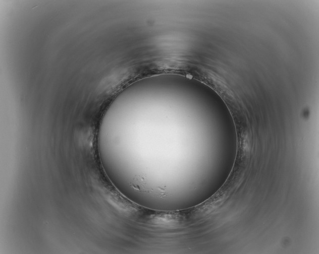 X0000093730567200710231154