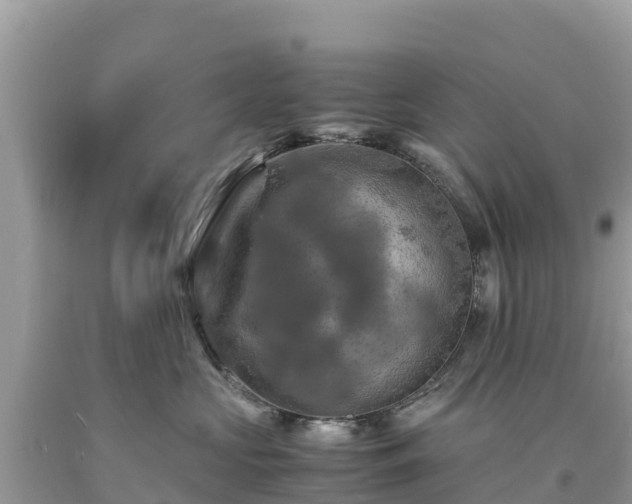 X0000093730573200710231154