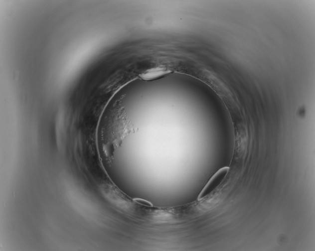 X0000093730574200710231154
