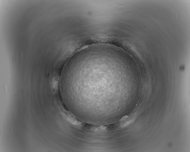 X0000093730576200710231154