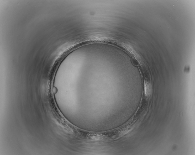 X0000093730579200710231153
