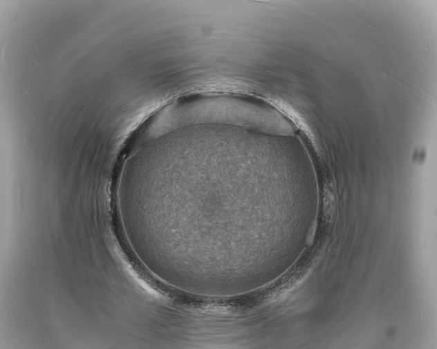 X0000093730581200710231153