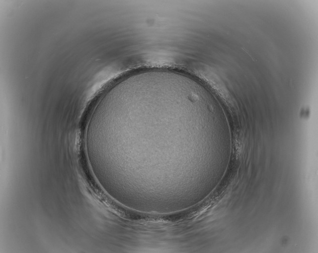 X0000093730583200710231153